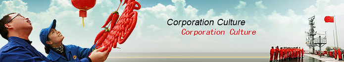 about-sinopec