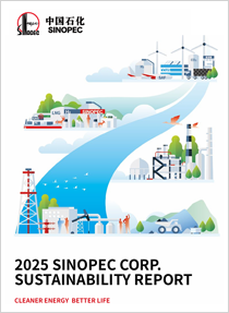 Sustainability Report 2025