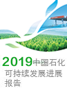 2019年可持续发展进展报告